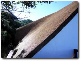 High quality thatching by Cintsa Thatching