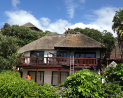 Thatch roof before onduvilla conversion